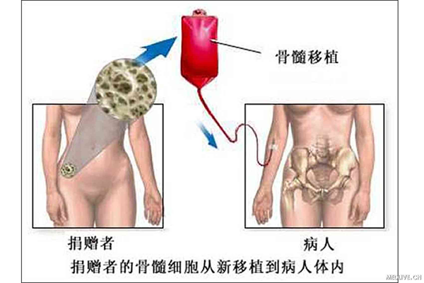 20121018073935854_01.png