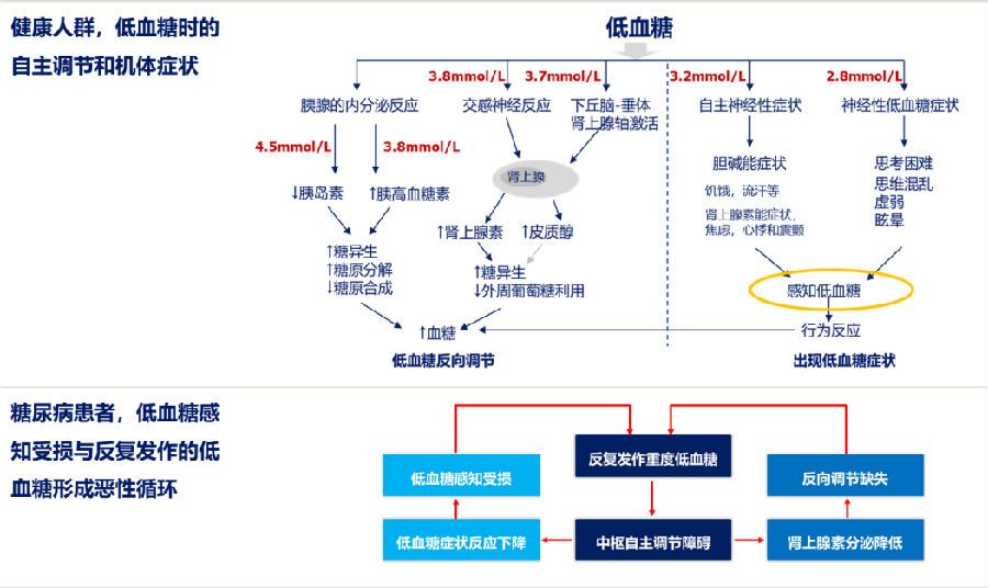 低 血糖 症状